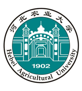 大兴河北农业大学